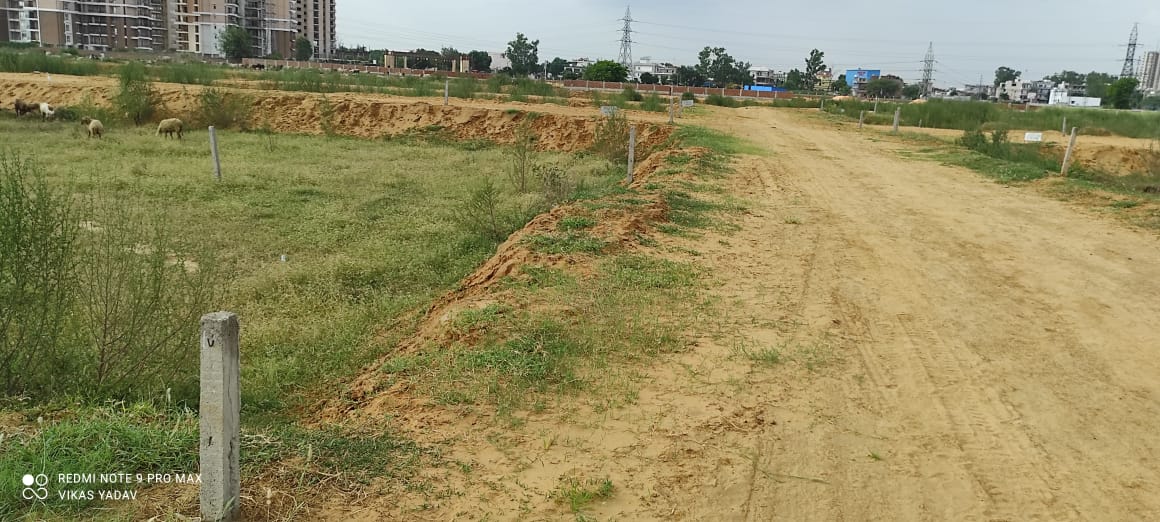 Construction Update February 2022